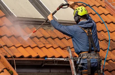 Démoussage et hydrofuge de toiture à Vaujany
